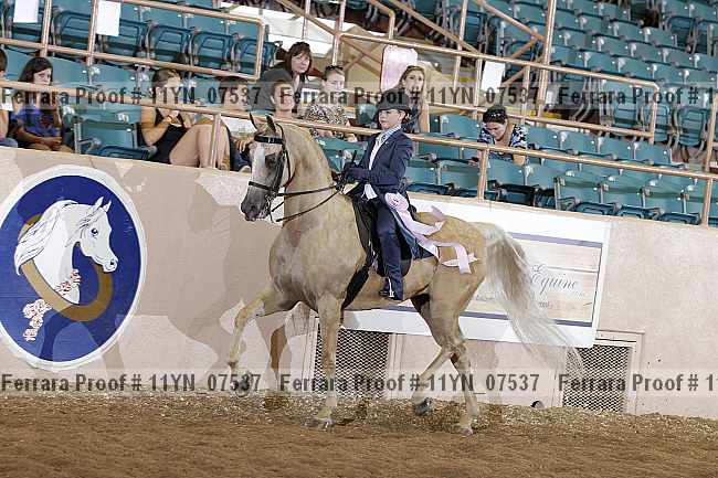 Proof 11yn_07537