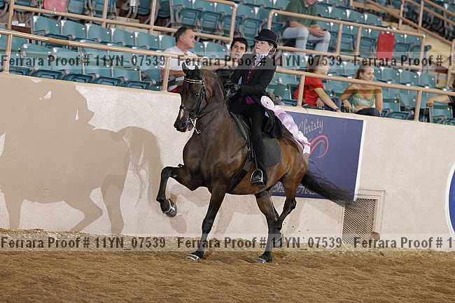 Proof 11yn_07539
