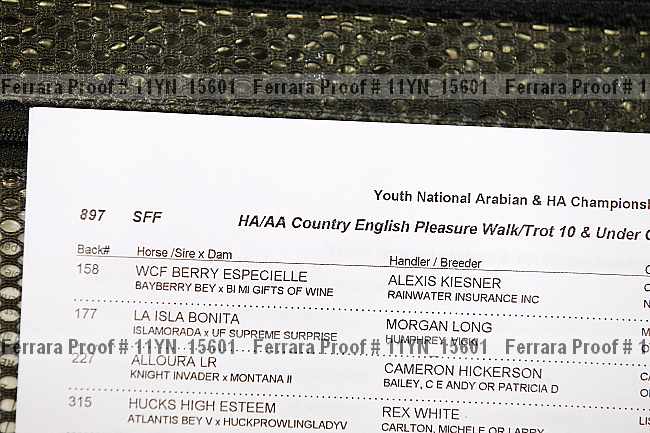 Proof 11yn_15601