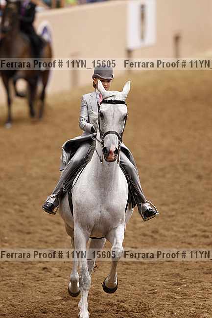Proof 11yn_15605