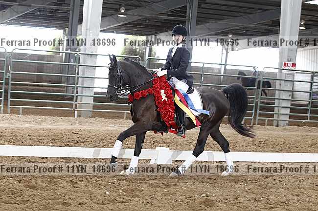 Proof 11yn_18696