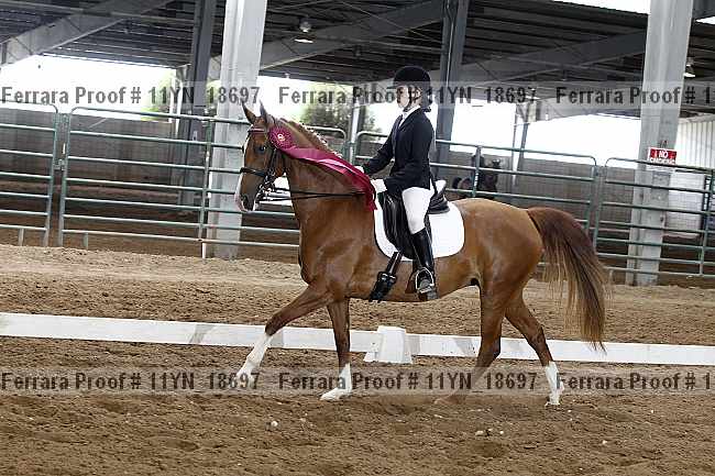 Proof 11yn_18697