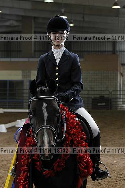 Proof 11yn_18732
