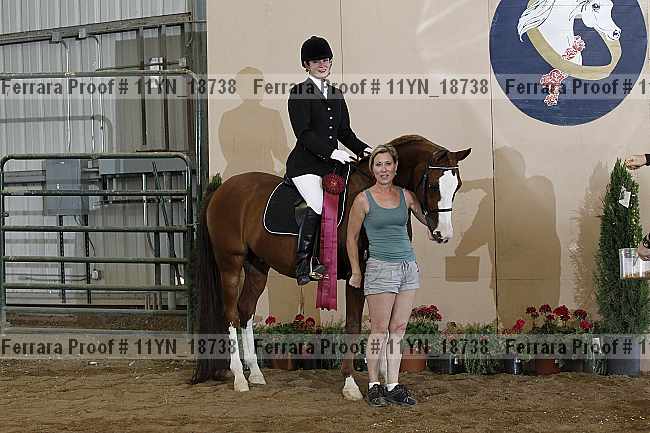 Proof 11yn_18738