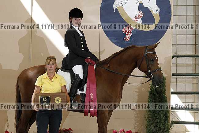 Proof 11yn_19134
