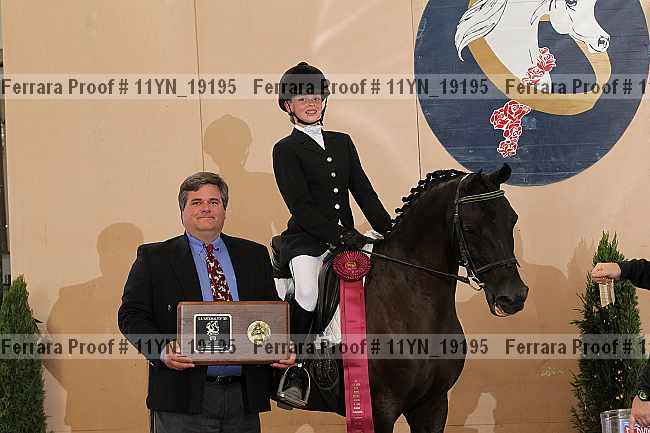 Proof 11yn_19195