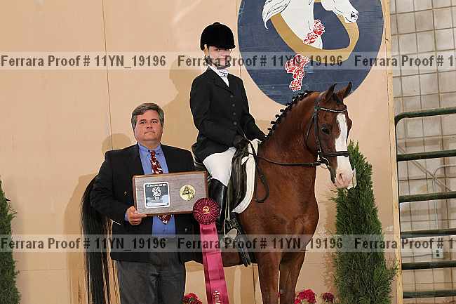 Proof 11yn_19196