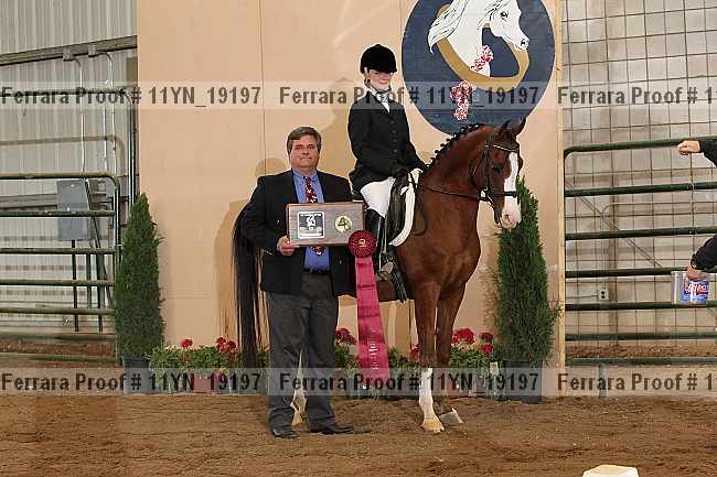 Proof 11yn_19197