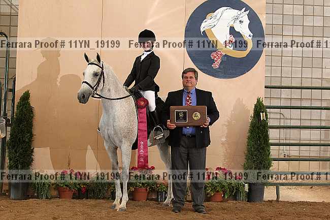 Proof 11yn_19199