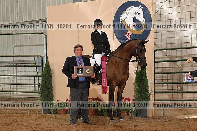 Proof 11yn_19201