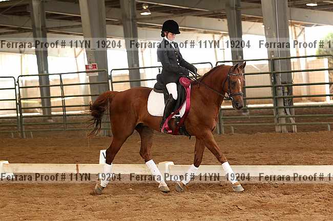 Proof 11yn_19204