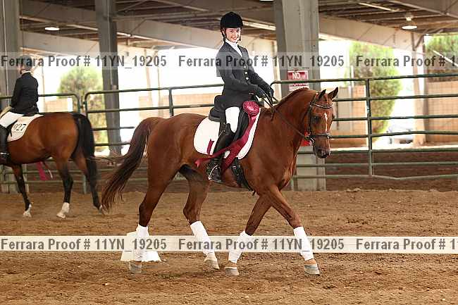 Proof 11yn_19205