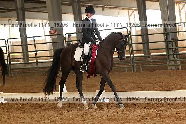 Proof 11yn_19206