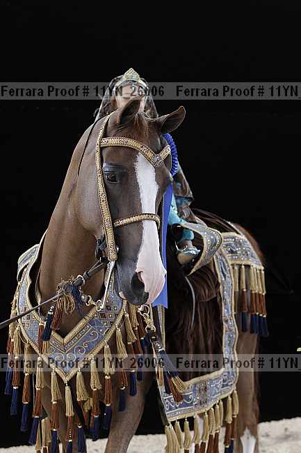 Proof 11yn_26006