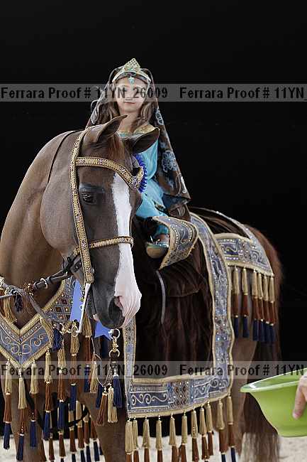 Proof 11yn_26009