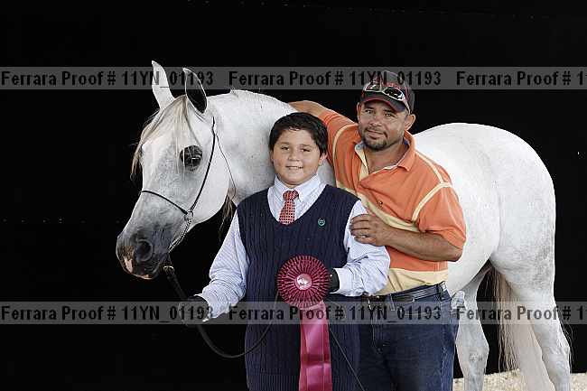 Proof 11yn_01193