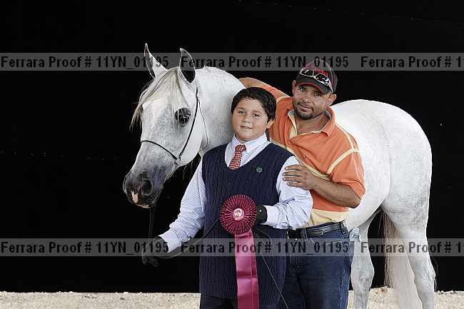 Proof 11yn_01195