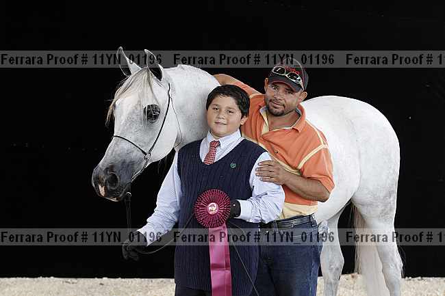 Proof 11yn_01196