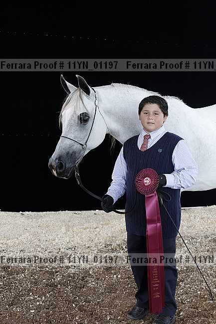 Proof 11yn_01197