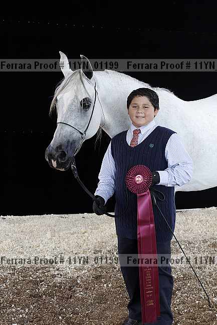 Proof 11yn_01199