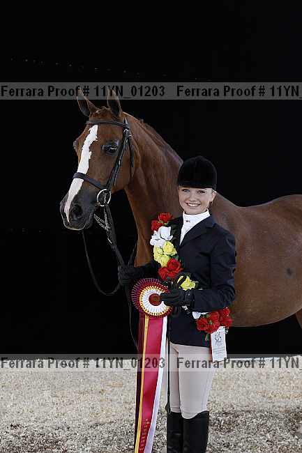 Proof 11yn_01203