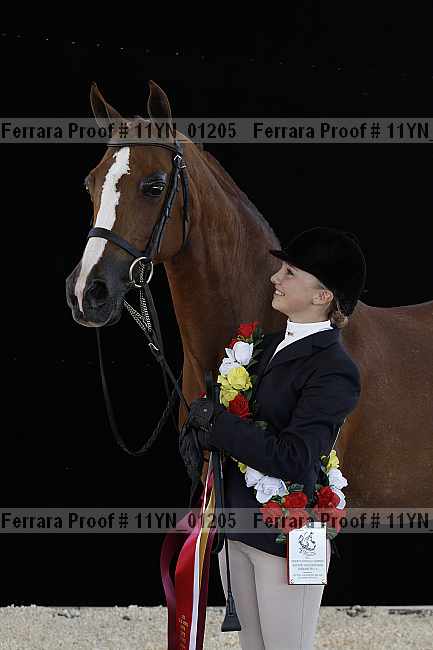 Proof 11yn_01205