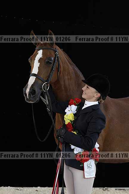 Proof 11yn_01206