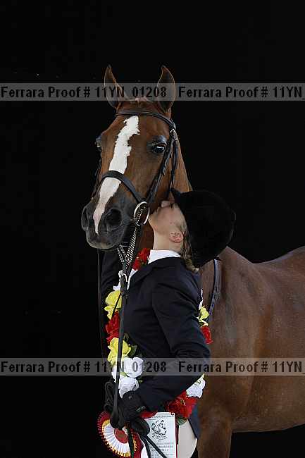 Proof 11yn_01208