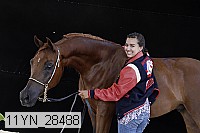 11yn_28488 proof