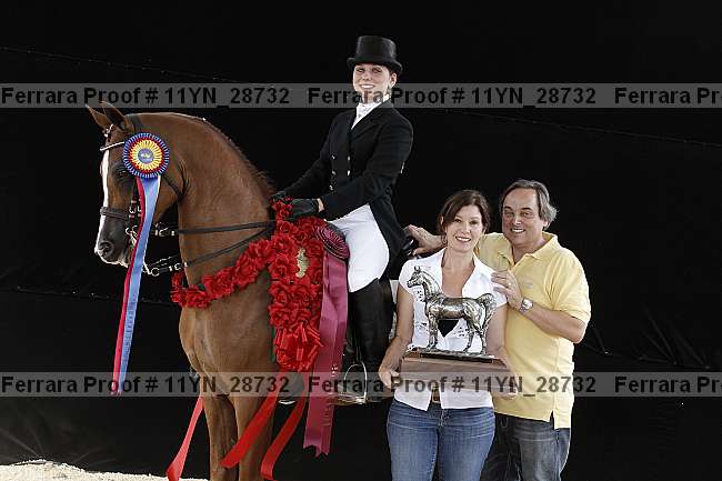 Proof 11yn_28732