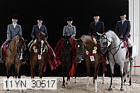 11yn_30517 proof