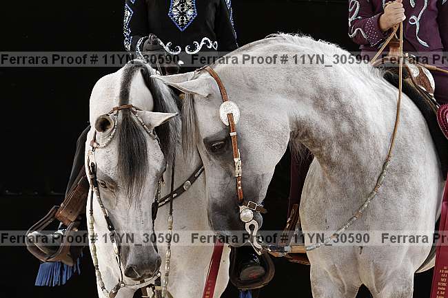 Proof 11yn_30590