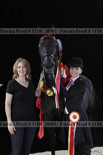 Proof 11yn_30905