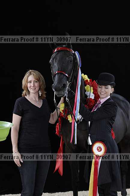 Proof 11yn_30907