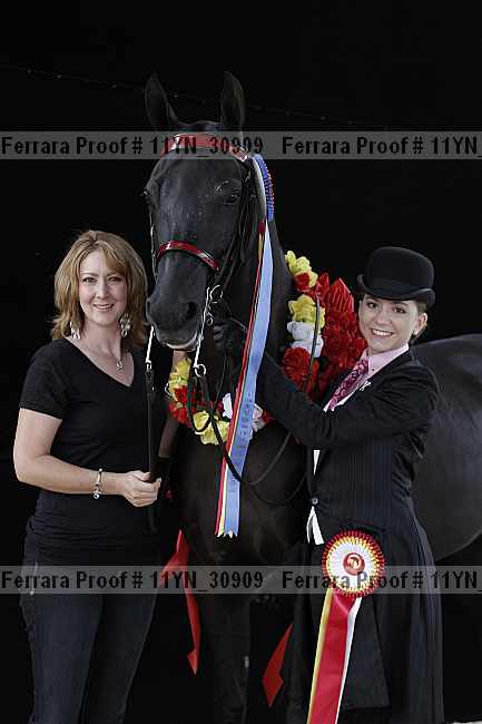 Proof 11yn_30909