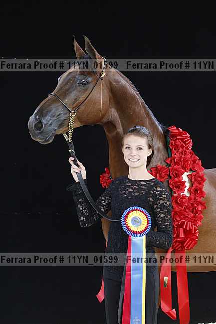 Proof 11yn_01599