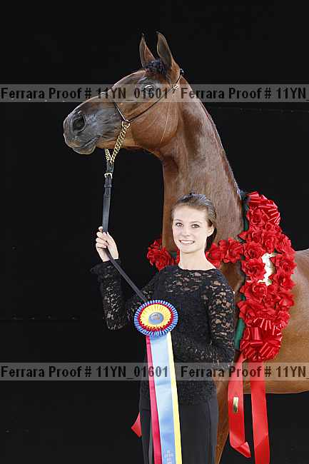 Proof 11yn_01601
