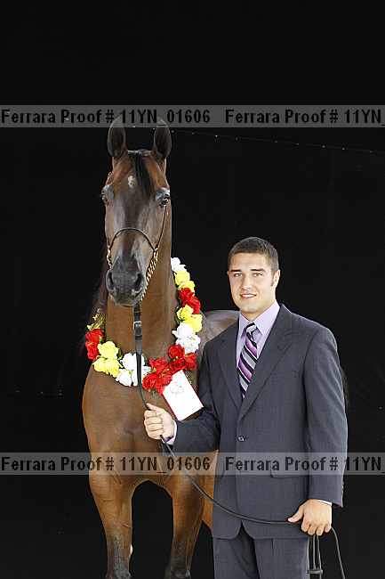 Proof 11yn_01606
