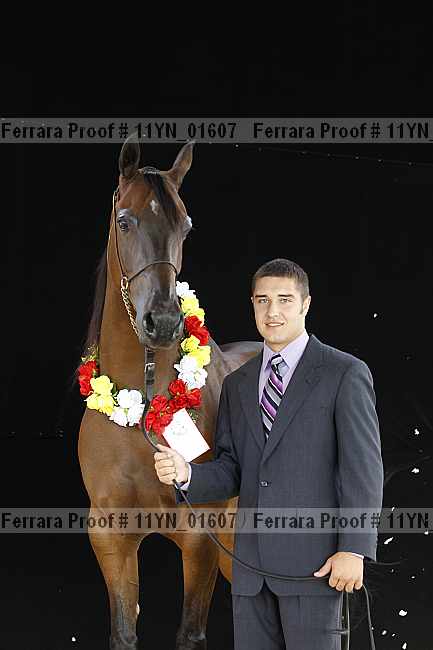 Proof 11yn_01607