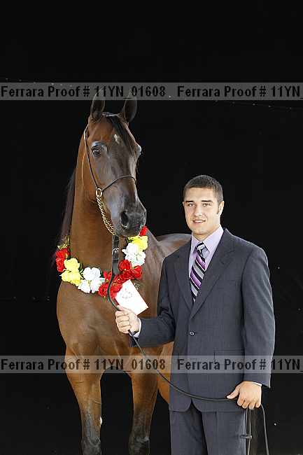 Proof 11yn_01608