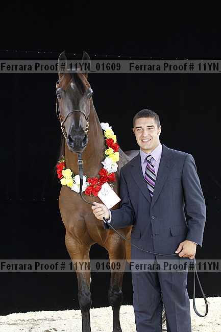 Proof 11yn_01609