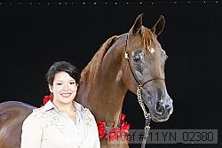 11yn_02380 proof