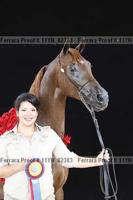 Proof 11yn_02383