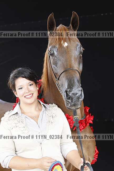Proof 11yn_02384