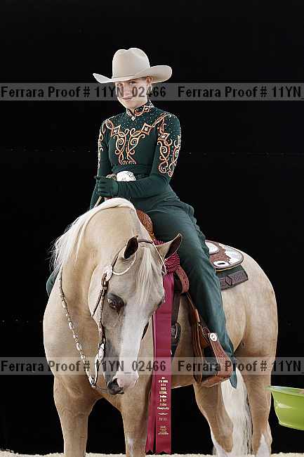 Proof 11yn_02466