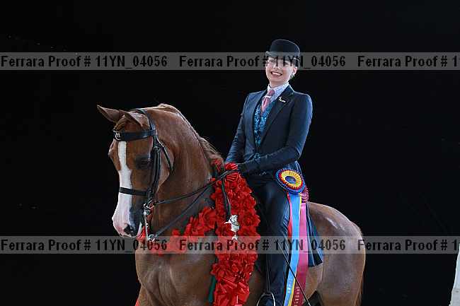 Proof 11yn_04056