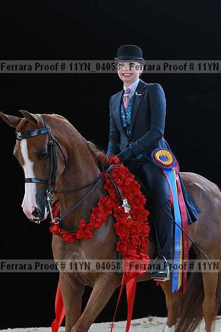 Proof 11yn_04058