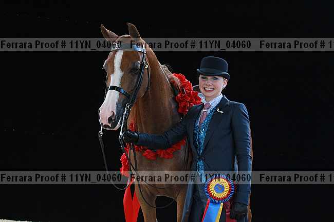 Proof 11yn_04060