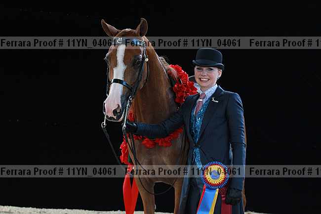 Proof 11yn_04061