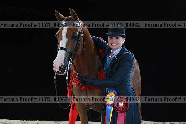 Proof 11yn_04062